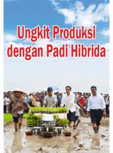 Penanaman Bibit Padi MAPAN P-05 Oleh Presiden Jokowi & Menteri Pertanian Amran Sulaiman