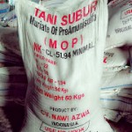 Jual Pupuk NKCL (MOP) Tani Subur di Medan