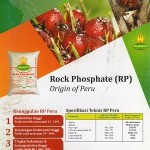 Rock Phosphate (RP) Mahkota Origin of Peru