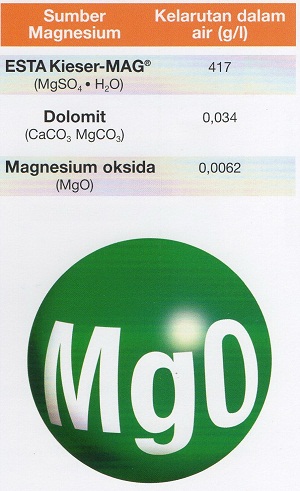 Sumber-sumber-magnesium